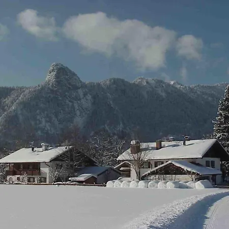 Bergnest *
