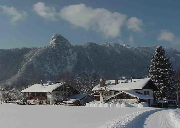 Bergnest *